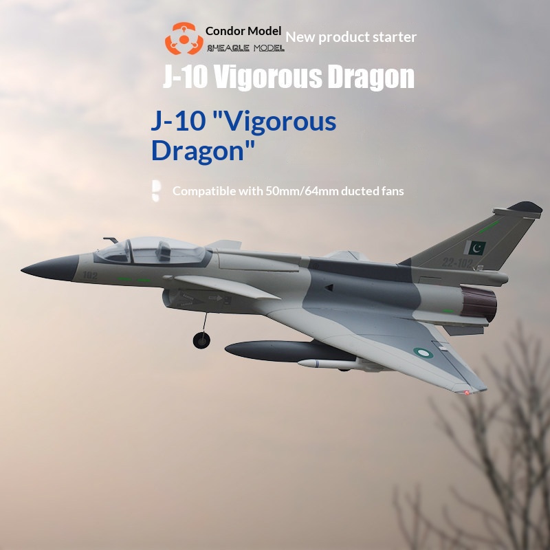 SH-EAGLE MODEL J-10 Vigorous D - đánh giá và giá Rc Hobby Plane