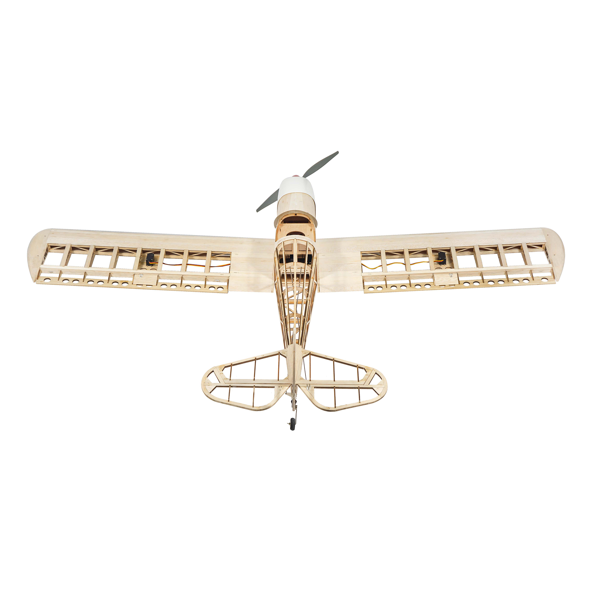 Dancing Wings Hobby 1.6M (63in - đánh giá và giá Rc Hobby Plane